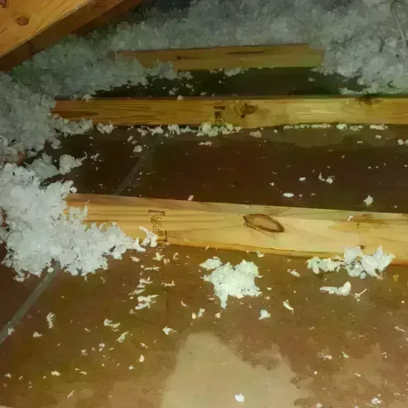 Attic Water Damage in Fort Scott, KS